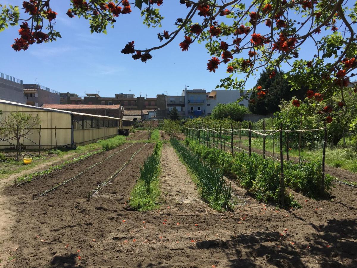 Ortosalato Agricamping Torregrotta Eksteriør billede